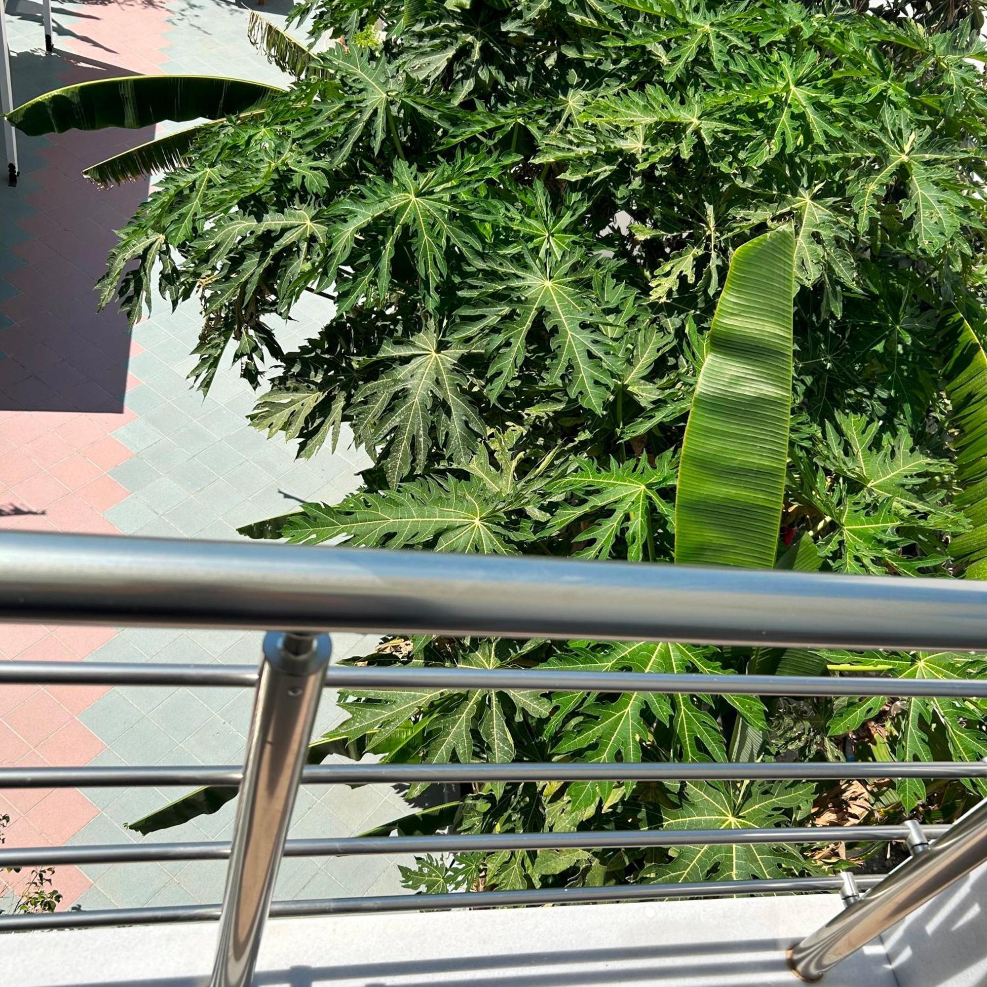 Sea Breeze Hotel Мастрихари Екстериор снимка